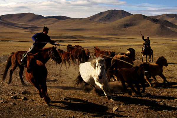 Natural Mongolia - 8 Days