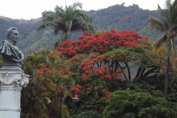 Ocean Bliss - 6 Days